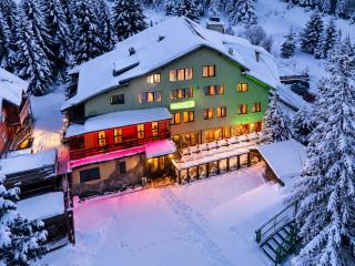 Hotel Forest Star on the Ski Slope - 9