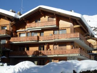 Delta comfortable 1 bedroom apartment in a quiet neighborhood - 1