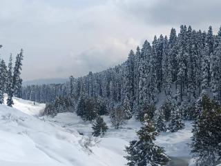 Iqbal Himalayan stay Hotel and Restaurant - 8