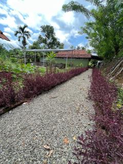 Little Rest Farm - 4