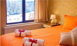 Hotel Forest Star on the Ski Slope - 4