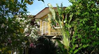 Bantayan Island Nature Park & Resort - 4