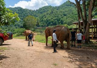 Green Resort Chiang Mai - 1