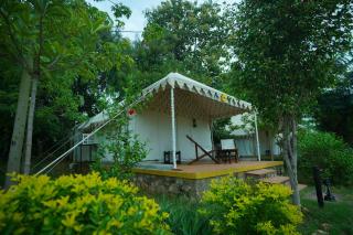 Ranthambhore Bagh Dwar Camp - 8