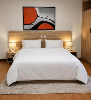 Confort et luxe au cœur des 2 plateaux vallon - 2
