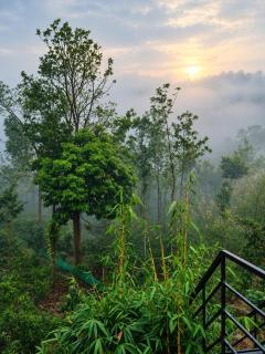 Green Heaven Kuruva Wayanad - 5