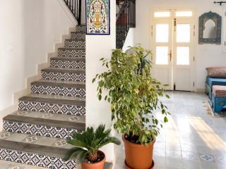 Spacious villa with private pool in Djerba - 6