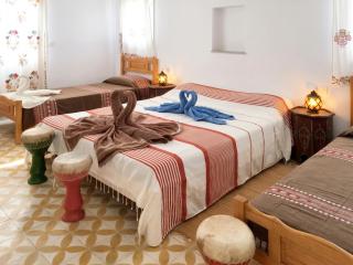 Spacious villa with private pool in Djerba - 5