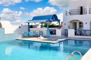 Spacious villa with private pool in Djerba - 3