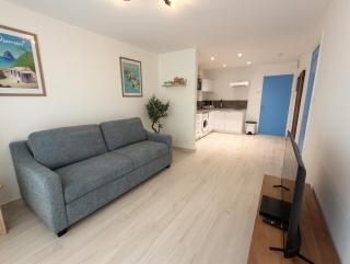 Appartement accueillant au Diamant, 30 m², piscine partagée - 7