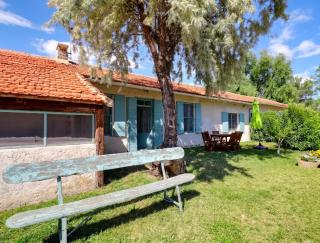 Charmante maison en Camargue avec piscine partagée - 0