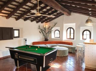 Spacious villa in Can Trabal with private pool and jacuzzi 980 m² - 4