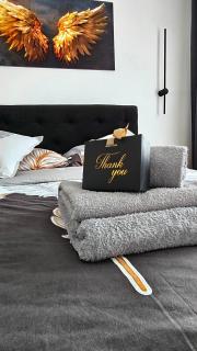 Lux Apartman JELAČIK - 6