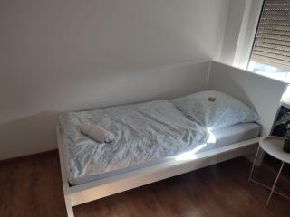 Spacious Kingsland Apartments Frankfurt Darmstadt Area - 5