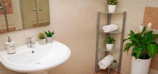 Charming Apartment in Novigrad, 45 sqm, with Terrace - 1