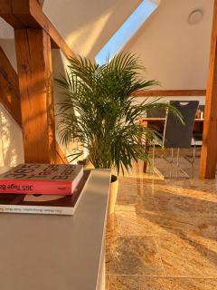 Charming 2 Room Loft Near Messe Basel - Basilea - 8