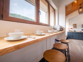 Spacieux duplex aux Deux Alpes, 10 pers, grande terrasse - FR-1-546-10 - 6