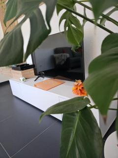Ferienwohnung Elya, privater Garten, ruhige Lage, Outlet - Bad Münstereifel - 4