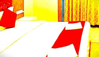 Hotel Wild Berrys Inn Puri - 3