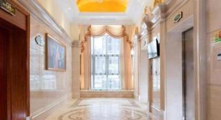 Vienna Internation Hotel Guanlan Sightseeing Branch - 8