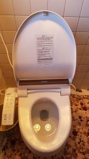 Guesthouse Spring Flower - 8