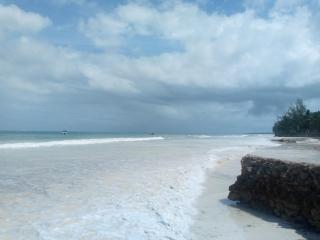 Happy stays Diani beach 2 bedroom apartment - Diani Beach - 8