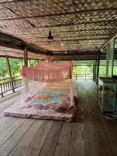 Kampong chnang farm - 1
