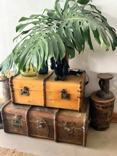 Harare Northern Suburbs Cottage - 8