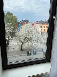 Munch apartment Schous - 7