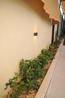Solo Escape - Private Pool Suite Near Amman Airport - 3