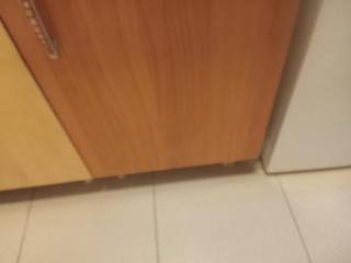 Ein traumhafter Aufenthalt in den Bergen Ferienwohnung - 1