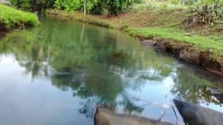 Creekside Farmhouse Basud -  - 2
