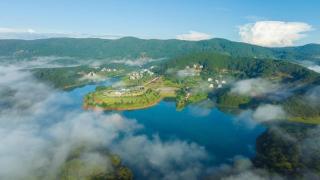Lavender Dalat Resort & Glamping - 9