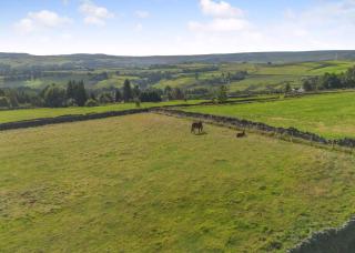 Thornton Park Farm Lodges - 3