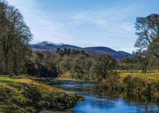 Gledfield Highland Estate - 3