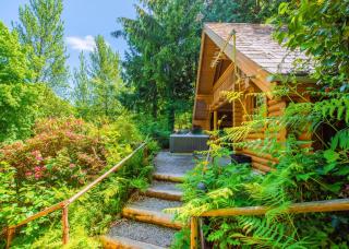Bulworthy Forest Lodges - 9