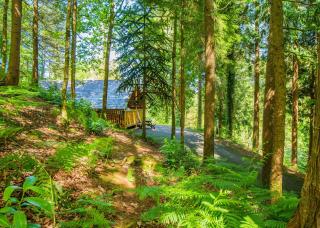 Bulworthy Forest Lodges - 7