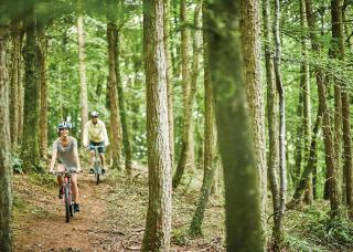 Bulworthy Forest Lodges - 3