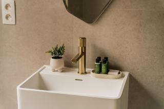 Leeuwenhof Suites - Amberes - 5