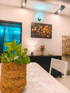 Luxurious 3BHK Terrace Penthouse near Indiranagar - 2