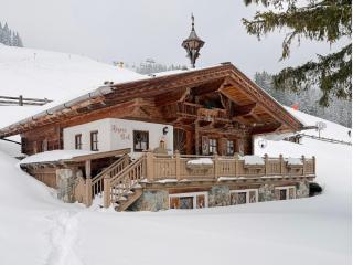 Panorama Alm Chalets by we rent JOKERCARD INCLUDED - 0
