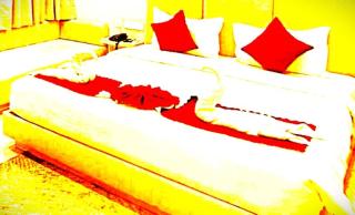 Hotel Wild Berrys Suites Puri - 6
