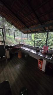 The90sVilla - Pool Amidst Tea Gardens - 1