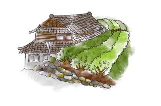 Sky Tea House-Yame Tea Experience - 4