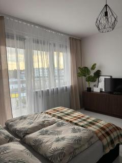 Apartament Mostowa - 1