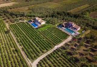 Aneli Luxury Villas - Villa Semeli - 5