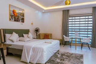 Max Elaris - Comfortable Studio Apartment in Abuja - 0