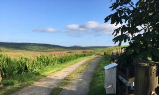 Croft Cottage - 3