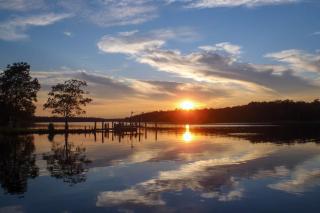 Nanticoke River Area, Nature Lover's Paradise - 8