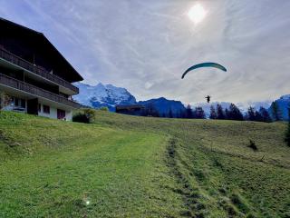 Jungfraujoch, Chalet Ski In&Out, Wengen, Valley view - 9